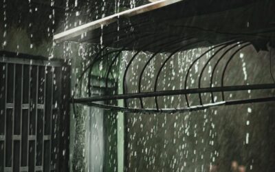 Gauteng’s Heavy Summer Rainfall